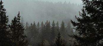The Cold Heart