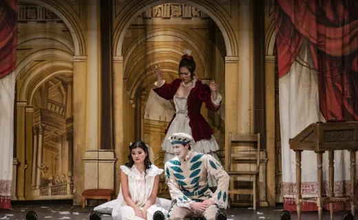 The Barber of Seville 3
